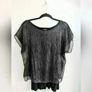 Express Shimmer Overlay Blouse